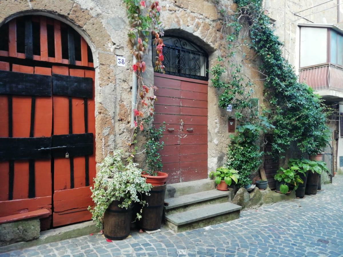 Relax Dal Caos Di Citta Daire Barbarano Romano Dış mekan fotoğraf