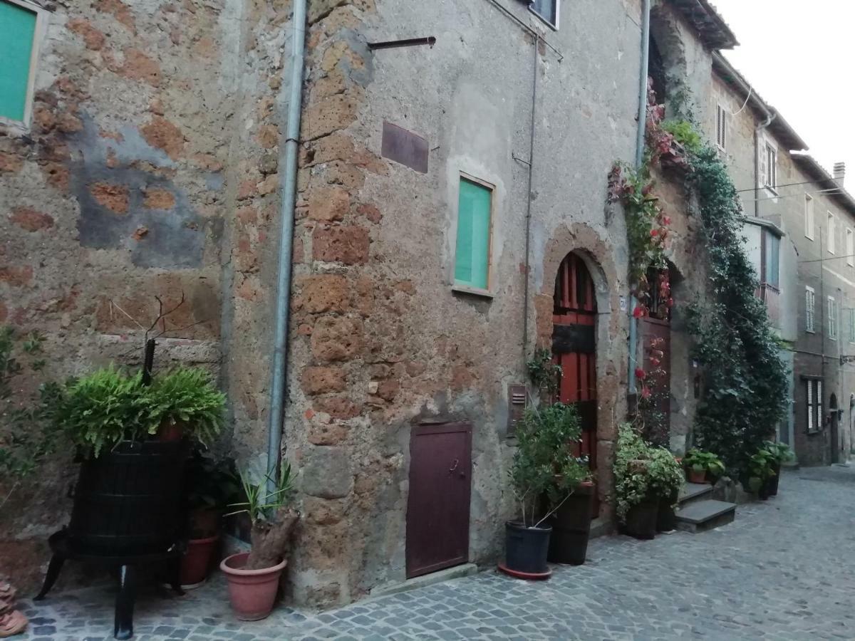 Relax Dal Caos Di Citta Daire Barbarano Romano Dış mekan fotoğraf