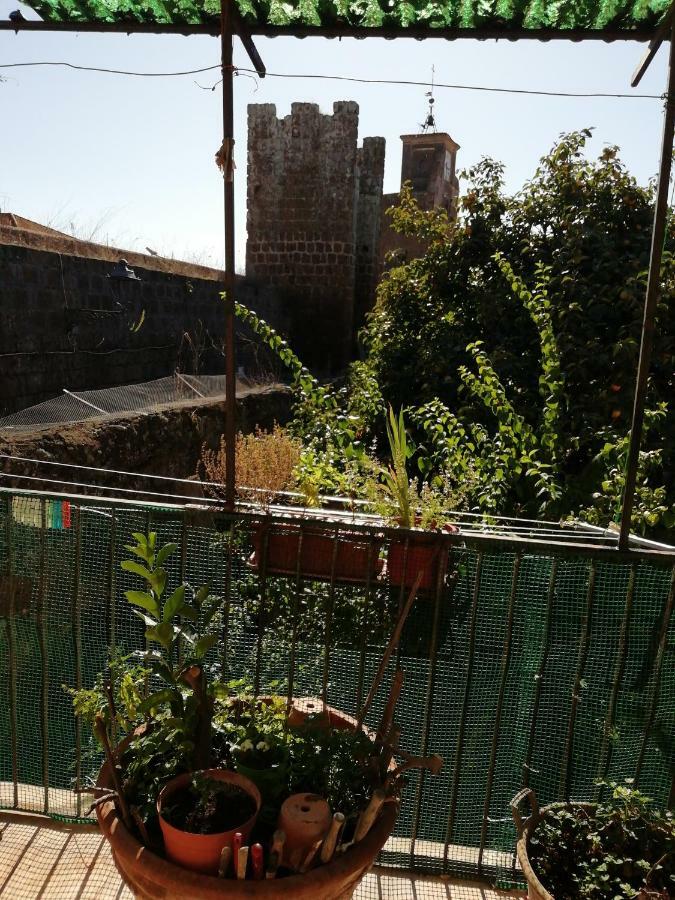 Relax Dal Caos Di Citta Daire Barbarano Romano Dış mekan fotoğraf